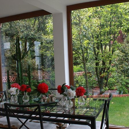 Apartamento La Camelia D'Oro Oggebio Exterior foto