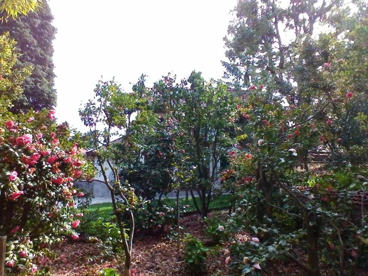 Apartamento La Camelia D'Oro Oggebio Exterior foto